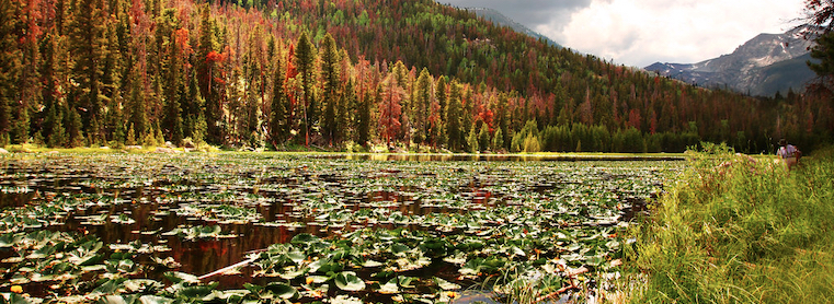 Lily Pad Lake Hike near Frisco, CO