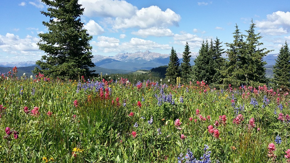 Colorado hikes near Frisco