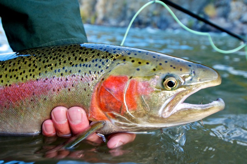 Fishing Summer Breckenridge