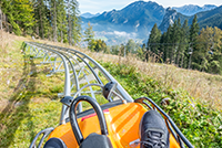 Reasons to visit breckenridge Alpine Slides Coasters Breckenridge Summer