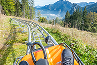 Alpine Slides Coasters Summer Copper Mountain