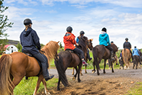 Horseback Riding Summer Breckenridge