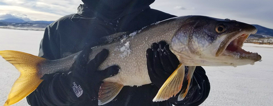 Dillon-Silverthorne Ice Fishing