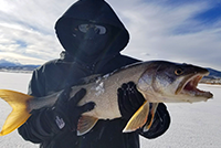 Ice Fishing Dillon Winter