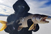 Ice Fishing Breckenridge Frisco Winter