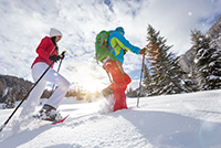 Snowshoers Hiking to Terrain in A Basin