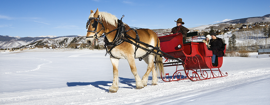 Sleigh Rides Breckenridge CO