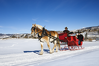 Sleigh Rides Breckenridge Winter