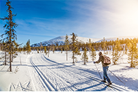 Nordic Skiing Frisco Winter